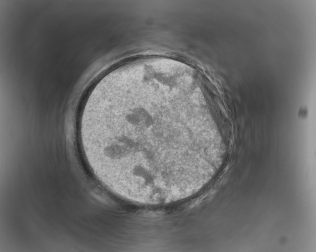X0000116670247201001251245