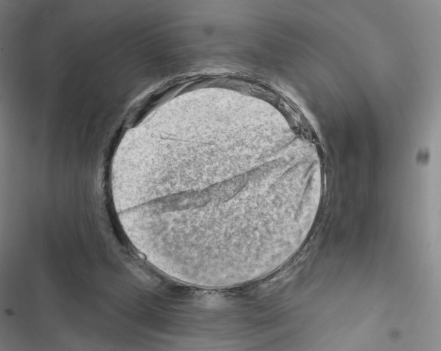 X0000116670249201001251245