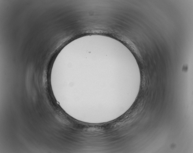 X0000116670251201001251245