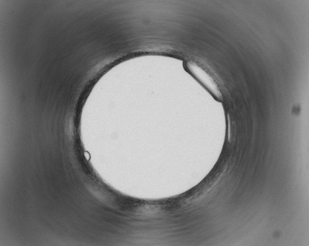 X0000116670252201001251245
