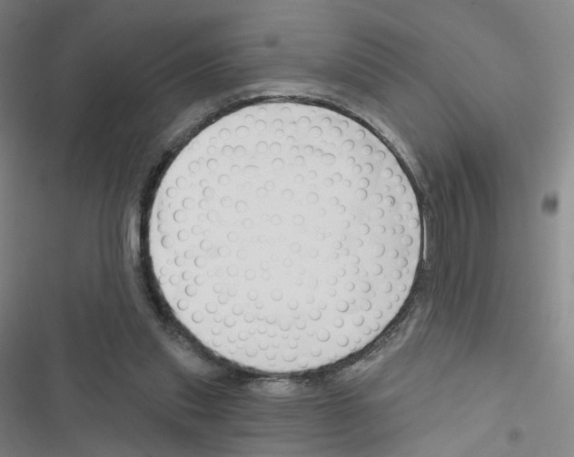 X0000116670253201001251245