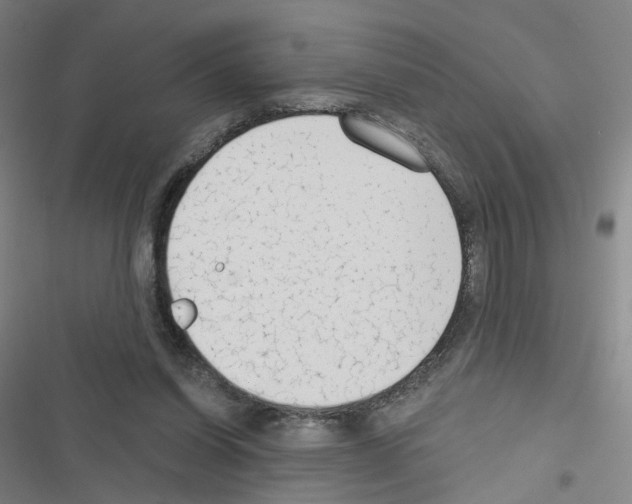 X0000116670254201001251245