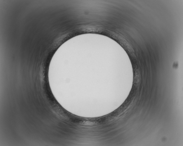X0000116670255201001251245