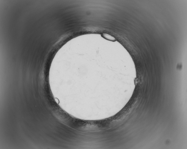X0000116670256201001251245