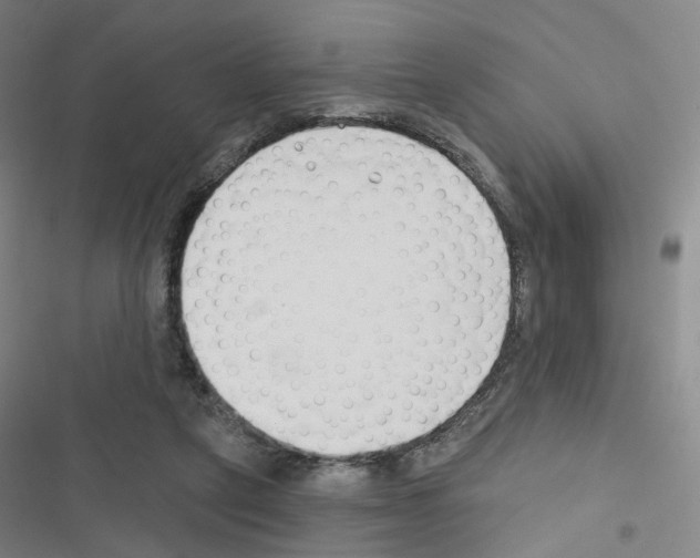 X0000116670257201001251245