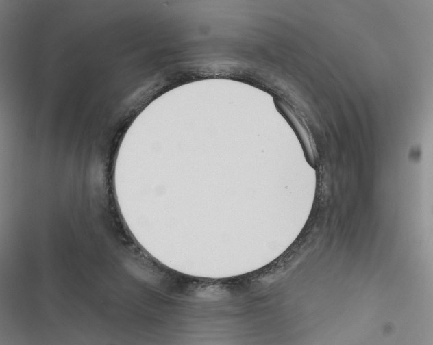 X0000116670258201001251245