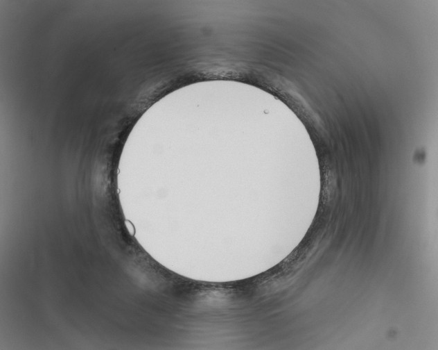 X0000116670259201001251245