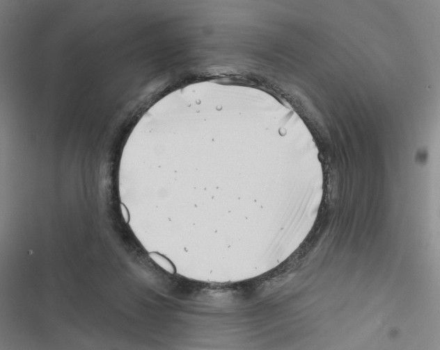 X0000116670260201001251245