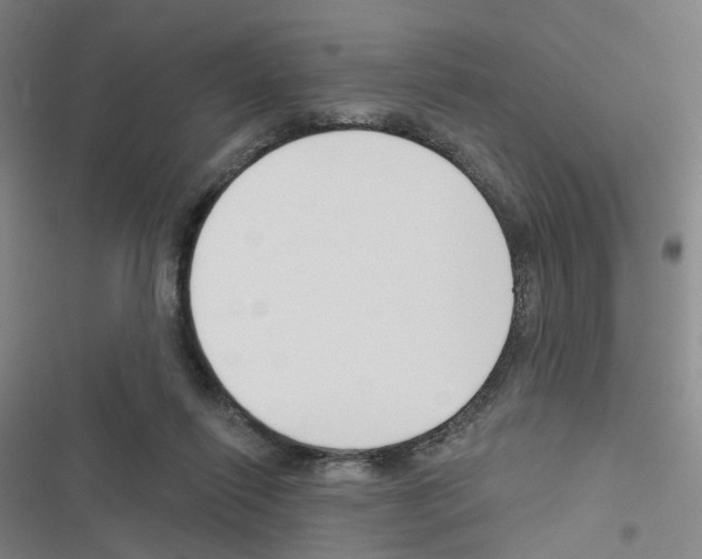 X0000116670262201001251245