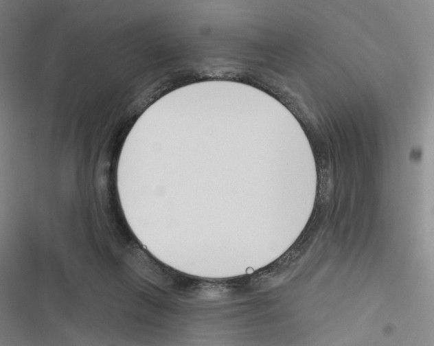 X0000116670263201001251245