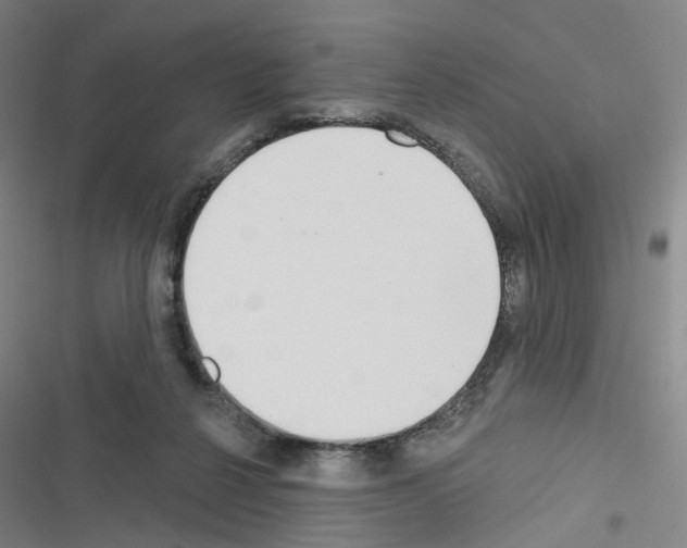 X0000116670264201001251245