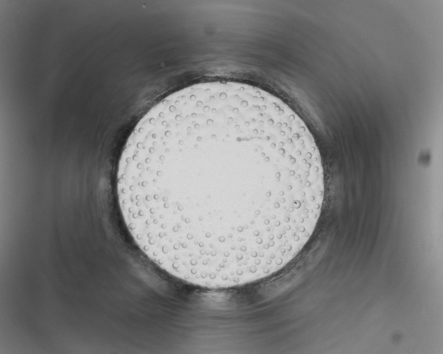 X0000116670265201001251245