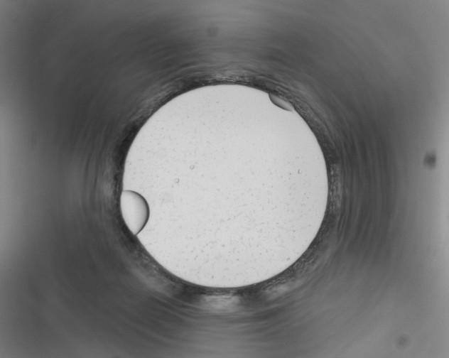 X0000116670266201001251245