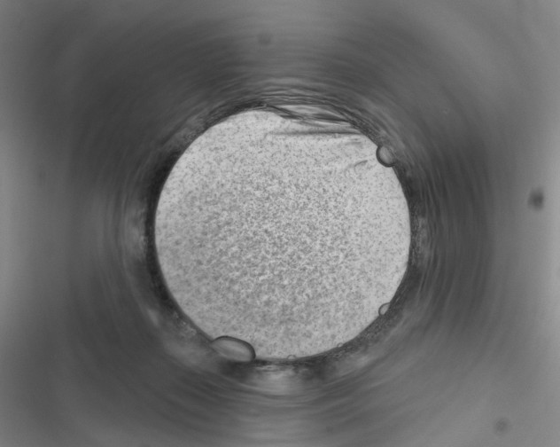 X0000116670267201001251245