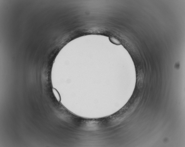 X0000116670268201001251245