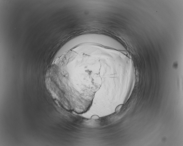 X0000116670269201001251245