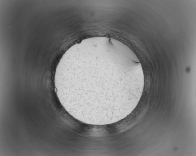 X0000116670270201001251245
