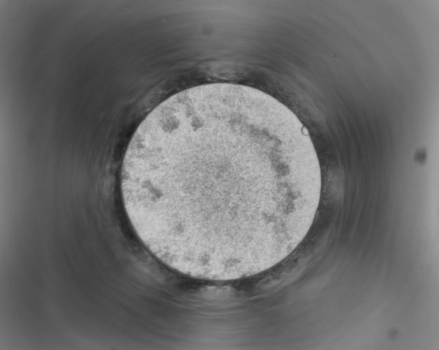 X0000116670271201001251245