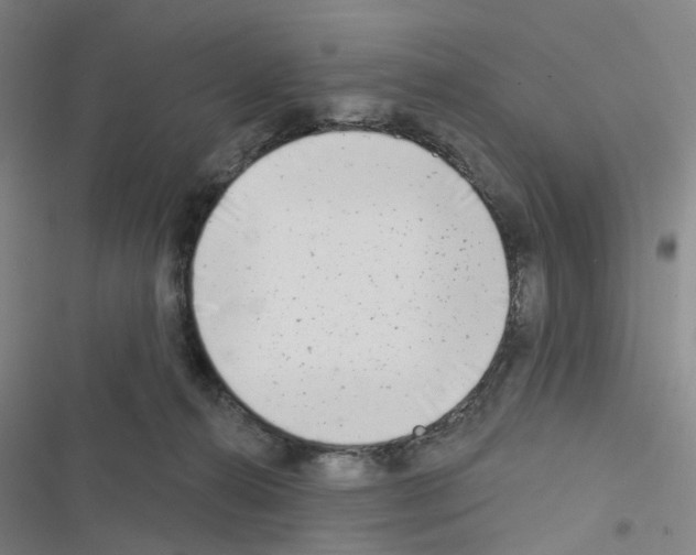 X0000116670272201001251245