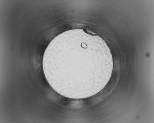 X0000116670274201001251245
