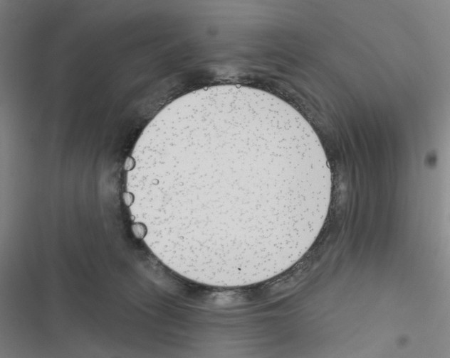 X0000116670275201001251245