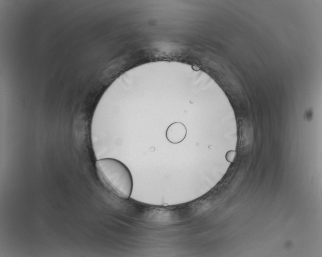 X0000116670276201001251245