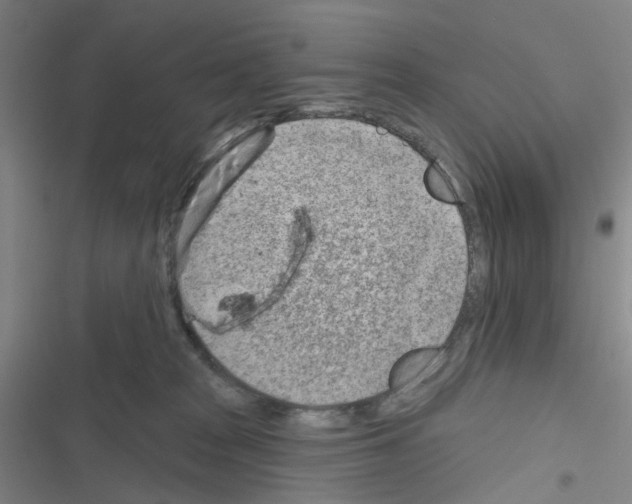 X0000116670277201001251245