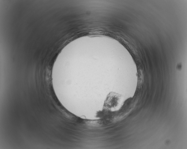 X0000116670281201001251245