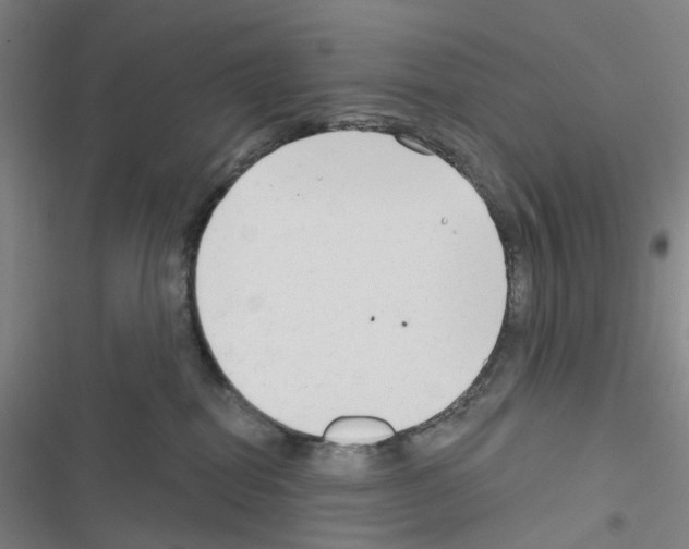 X0000116670282201001251245