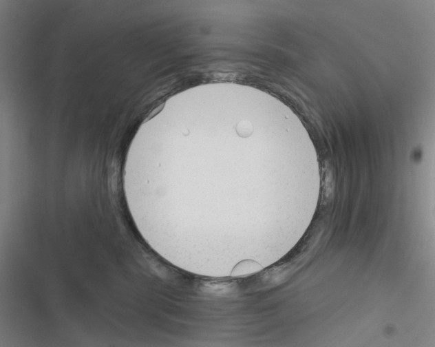 X0000116670283201001251245