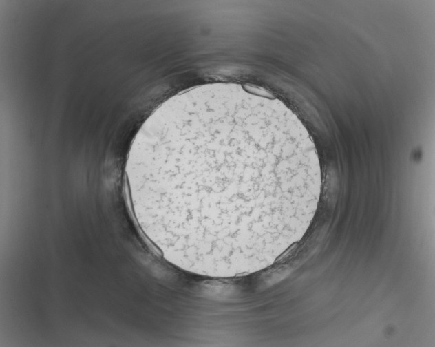 X0000116670284201001251245