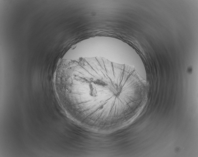 X0000116670285201001251245