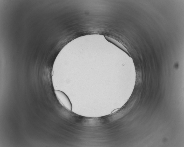 X0000116670286201001251245