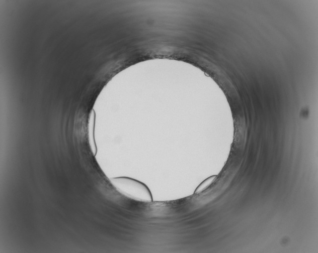 X0000116670287201001251245