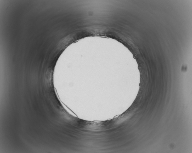X0000116670288201001251245