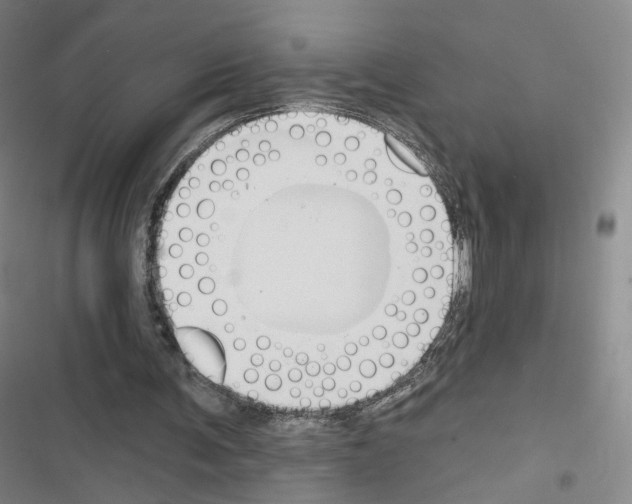 X0000116670291201001251244