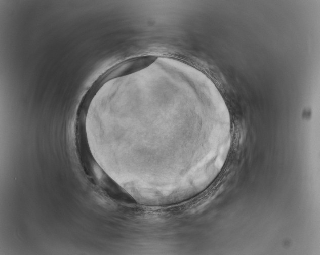 X0000116670292201001251244