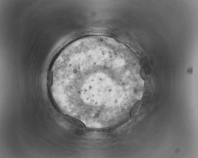 X0000116670293201001251244