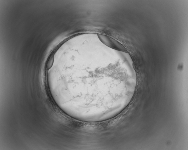 X0000116670294201001251244