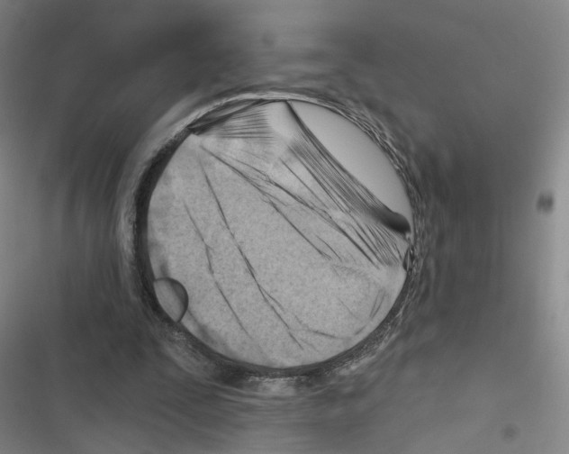 X0000116670295201001251244