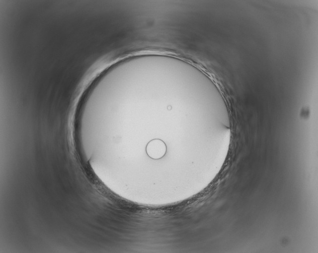 X0000116670296201001251244