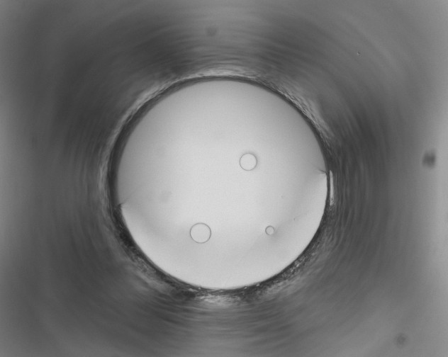 X0000116670300201001251244