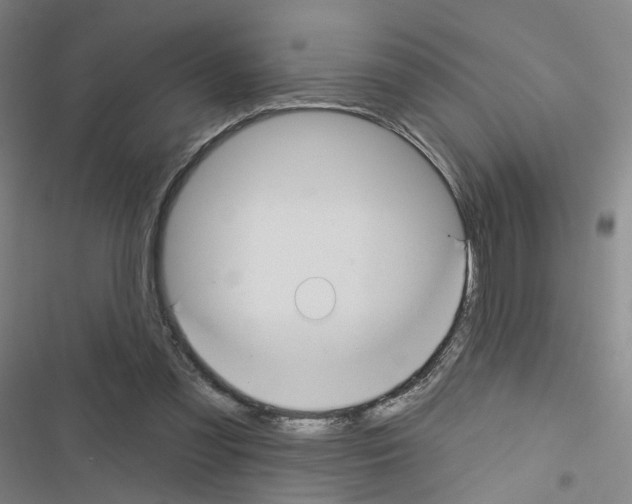 X0000116670301201001251244