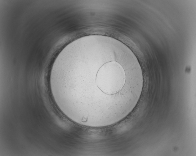 X0000116670302201001251244