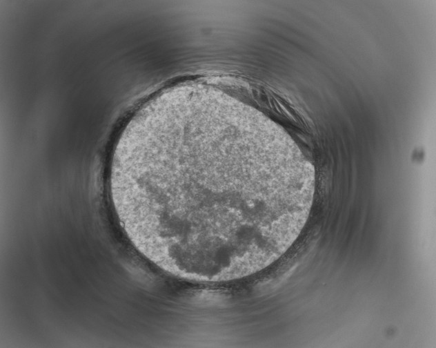 X0000116670303201001251244