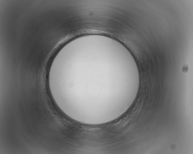 X0000116670304201001251244
