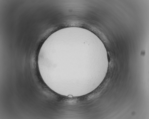 X0000116670306201001251244