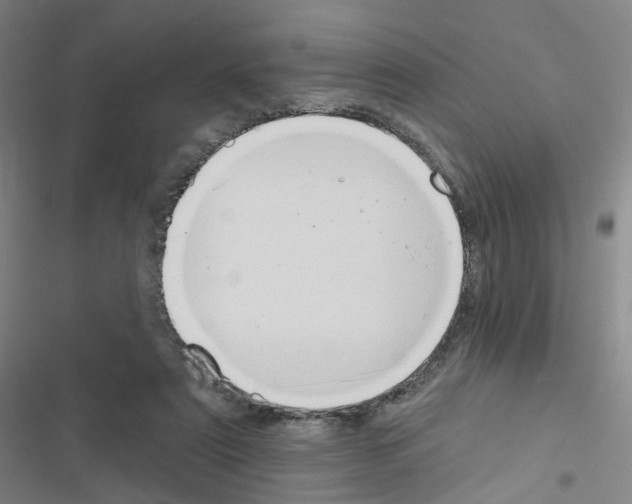 X0000116670307201001251244