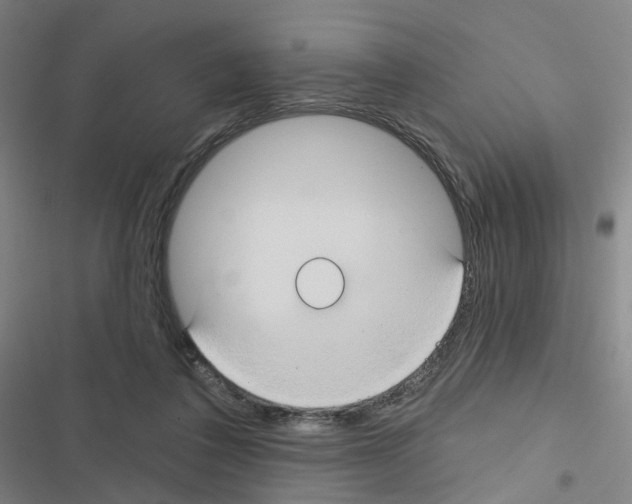 X0000116670308201001251244
