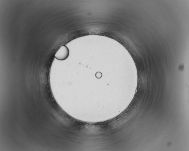 X0000116670311201001251244
